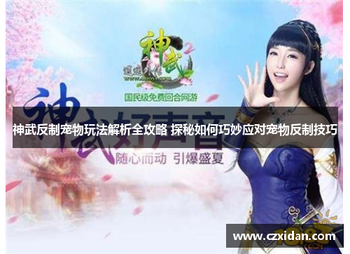 神武反制宠物玩法解析全攻略 探秘如何巧妙应对宠物反制技巧